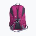Turistinė kuprinė Karrimor U-Bahn 20 l boysenberry 3