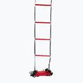 Wilson Ladder koordinavimo treniruočių kopėčios raudonos spalvos Z2542+