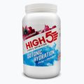 Izotoninis gėrimas miltelių pavidalu HIGH5 Isotonic Hydration 1,23 kg blackcurrant