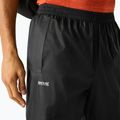 Vyriškos trekingo kelnės REGATTA Pack It Overtrousers black 5