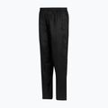 Vyriškos trekingo kelnės REGATTA Pack It Overtrousers black 9