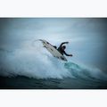 Vyriškas plaukimo kostiumas O'Neill Hyperfreak 5/4+ mm Chest Zip Full black/black 13