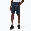Vyriški šortai Berghaus Navigator 2.0 midnight