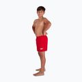 Speedo Essential 13" vaikiški plaukimo šortai raudoni 68-124126446 2