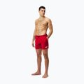 Vyriški Speedo Boom Logo 16" plaukimo šortai raudoni 8-124336446 2