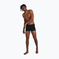 Vyriški Speedo Tech Panel Aquashort maudymosi bokseriai juodi 68-04510G183 2