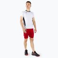 Vyriški marškinėliai Mizuno Premium High-Kyu match white V2EA700271 2