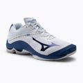 Vyriški tinklinio bateliai Mizuno Wave Lightning Z6 blue V1GA200021