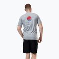 Vyriški marškinėliai Berghaus Snowdon SS Tee 2.0 grey marl bci 3