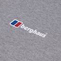 Vyriški marškinėliai Berghaus Snowdon SS Tee 2.0 grey marl bci 10