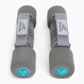 Reebok hanteliai 2 x 1 kg pilkos spalvos RAWT-11061BL 3
