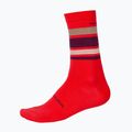 Dviračių kojinės Endura BaaBaa Merino Stripe pomegranate