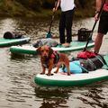 SUP lenta Red Paddle Co Voyager 12'6" žalia 17623 13