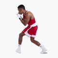 Vyriški treniruočių šortai Boxraw Stevenson V2 red/white 3