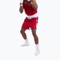 Vyriški treniruočių šortai Boxraw Stevenson V2 red/white 4
