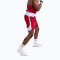 Vyriški treniruočių šortai Boxraw Stevenson V2 red/white 6