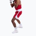 Vyriški treniruočių šortai Boxraw Stevenson V2 red/white 7