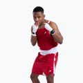 Vyriški marškinėliai Boxraw Stevenson V2 Tank red/white 4