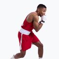 Vyriški marškinėliai Boxraw Stevenson V2 Tank red/white 8