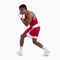 Vyriški marškinėliai Boxraw Stevenson V2 Tank red/white 9