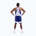 Vyriški treniruočių šortai Boxraw Stevenson V2 blue/white 3