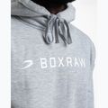 Vyriškas džemperis Boxraw A.B.C. Hoodie grey 8
