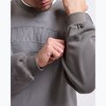 Vyriškas džemperis Boxraw East Street Sweatshirt distressed grey 8