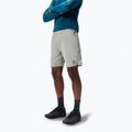 Vyriški dviračių šortai Endura Loop Baggy Short dreich grey 3