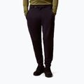Vyriškos dviračių kelnės Endura MT500 Burner Pant black