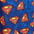 "Zoggs Superman" mėlyni vaikiški plaukimo šortai 2