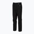 Vyriškos turistinės kelnės REGATTA Highton Stretch black 5