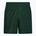 Vyriški maudymosi šortai Nike Essential 5" Volley green NESSA560-303