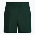 Vyriški maudymosi šortai Nike Essential 5" Volley green NESSA560-303 2