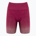 Moteriški treniruočių šortai Gymshark Adapt Ombre Seamless red / marl