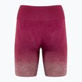 Moteriški treniruočių šortai Gymshark Adapt Ombre Seamless red / marl 2