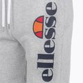 Ellesse Bossini vyriški šortai pilka marl 7