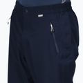 Vyriškos trekkinginės kelnės REGATTA Highton Stretch navy 4
