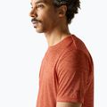 Vyriški žygio marškinėliai REGATTA Fingal Edition rusty orange 4