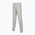 Moteriškos kelnės Mizuno Sweat heather grey