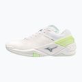 Moteriški rankinio bateliai Mizuno Wave Stealth Neo