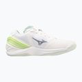 Moteriški rankinio bateliai Mizuno Wave Stealth Neo 2