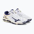 Vyriški tinklinio bateliai Mizuno Wave Voltage white / blue kaspinas / mp gold 5