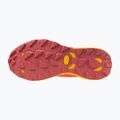 Moteriški bėgimo bateliai Mizuno Wave Daichi 8 GTX nasturtium/citrus/cranberry 6