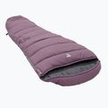 Miegmaišis Vango Kanto 250 arctic dusk 3