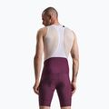 Vyriški dviračių šortai Rapha Brevet Element Cargo Bib Shorts plum/white 2