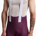 Vyriški dviračių šortai Rapha Brevet Element Cargo Bib Shorts plum/white 3