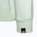 Moteriški treniruočių marškinėliai Ellesse Estate Oh Hoody multicolor 4