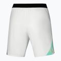 Vyriški šortai Mizuno Frontier 8 in Amplify white 2