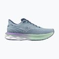 Moteriški bėgimo bateliai Mizuno Wave Skyrise 6 citadel/white/bay 8