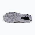 Vyriški batai Mizuno Mxr silver/silver/nimbus cloud 14